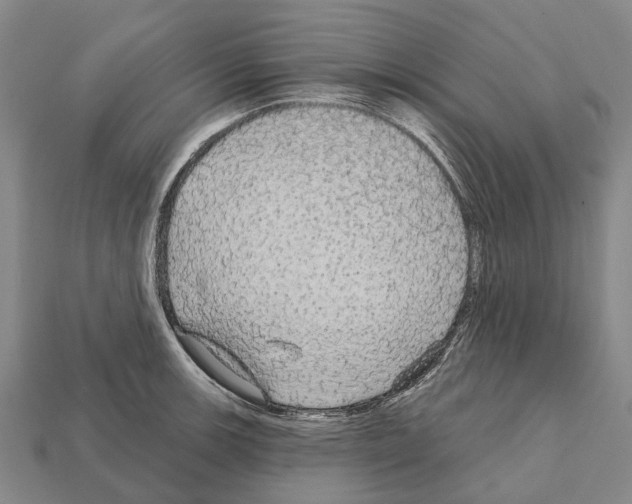 X0000111911139200909071151