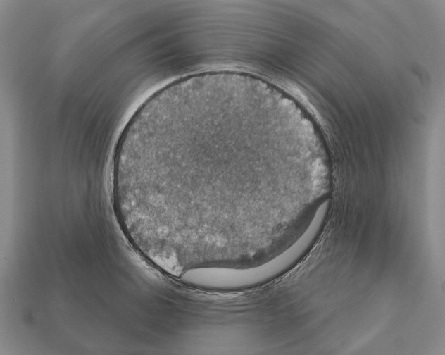 X0000111911140200909071151