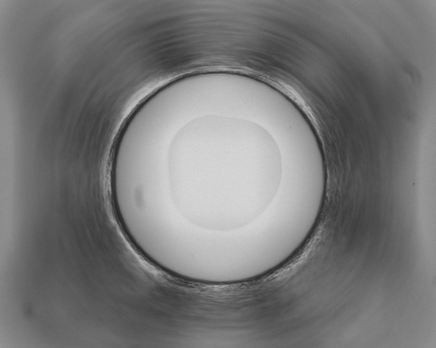 X0000111911141200909071151
