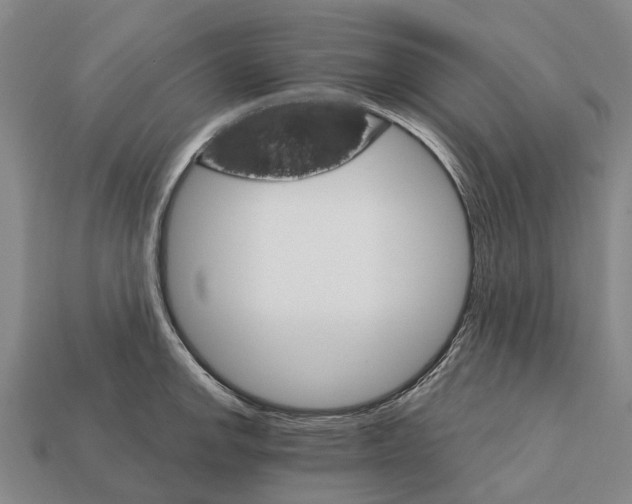 X0000111911142200909071151