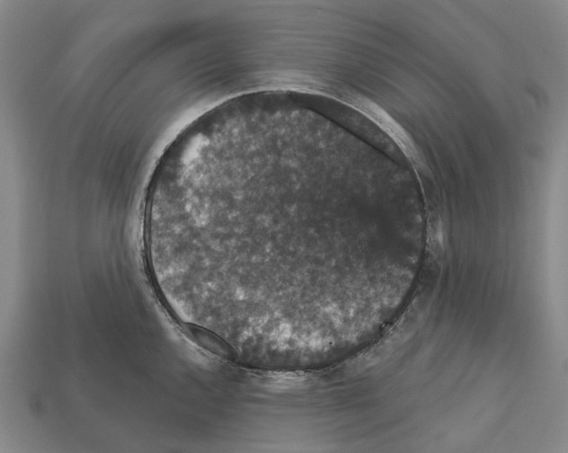 X0000111911144200909071151