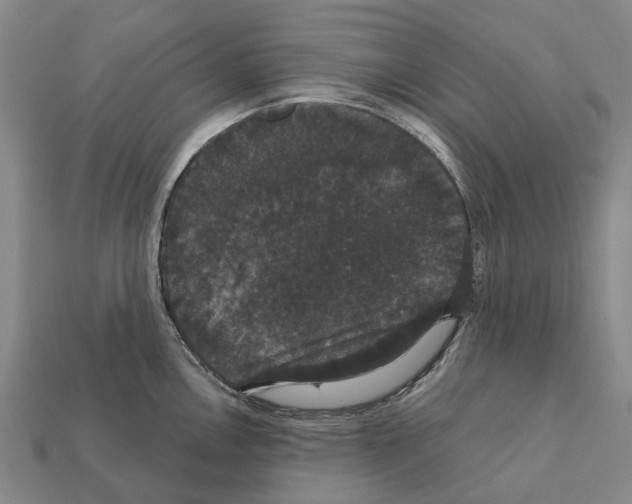 X0000111911146200909071151