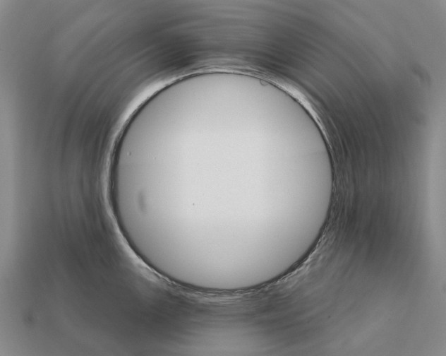 X0000111911147200909071151