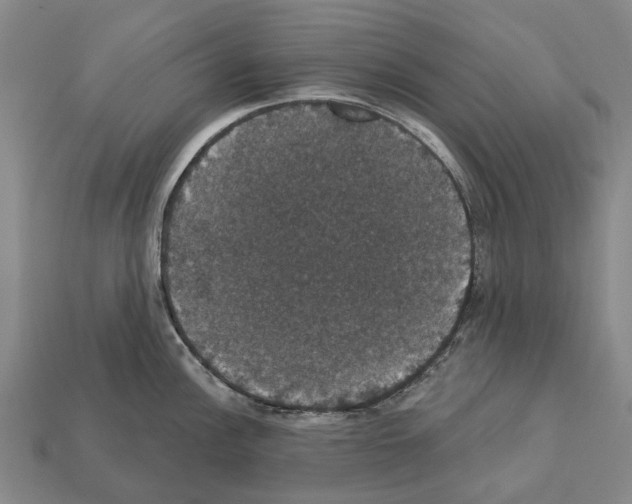 X0000111911148200909071151