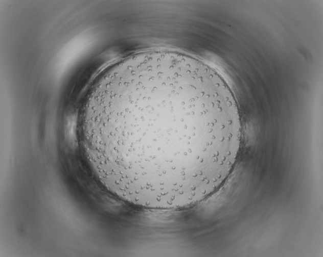 X0000111911150200909071151