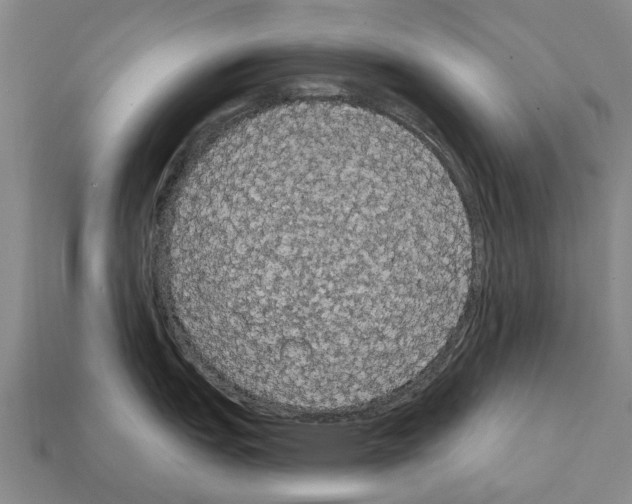 X0000111911151200909071151