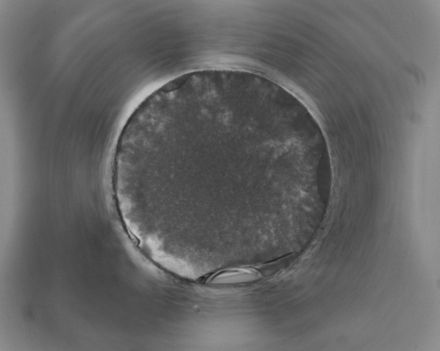 X0000111911152200909071151