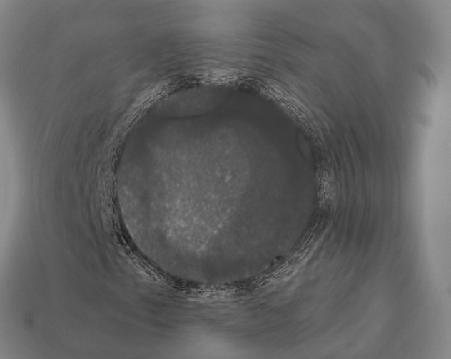 X0000111911153200909071151