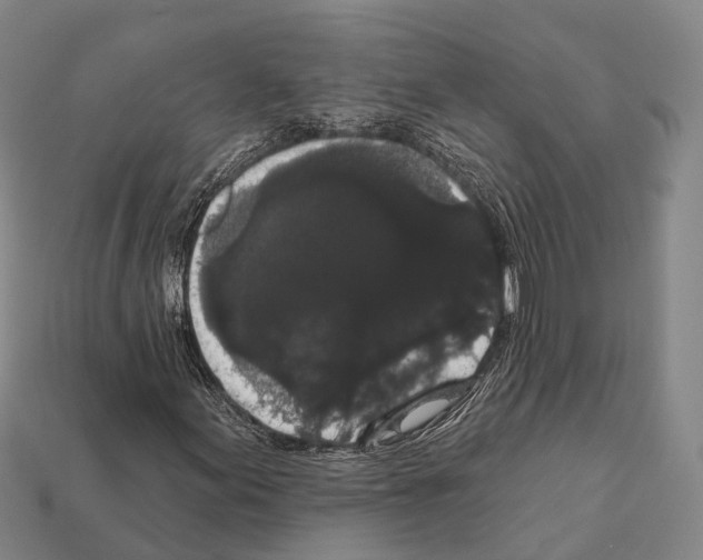 X0000111911155200909071151