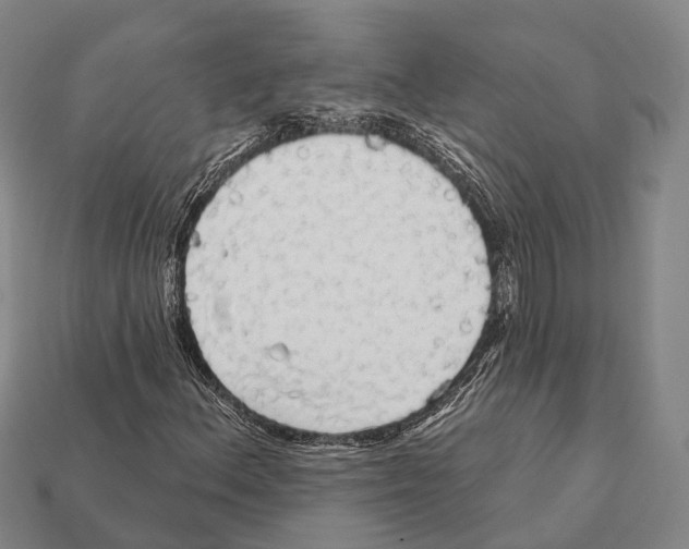 X0000111911156200909071151