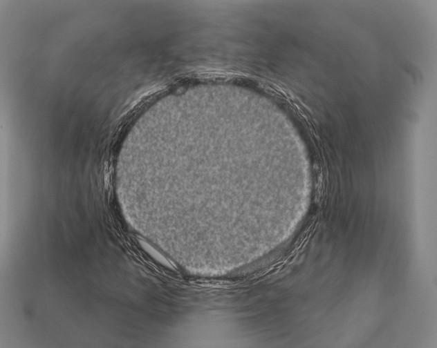 X0000111911157200909071151