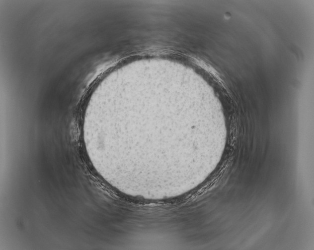 X0000111911160200909071151