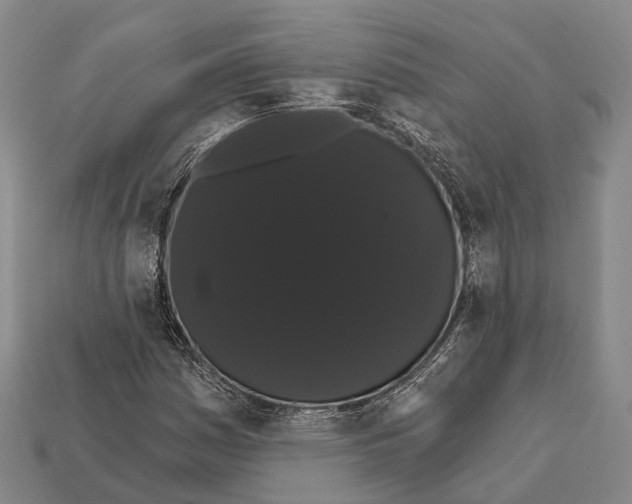 X0000111911161200909071151