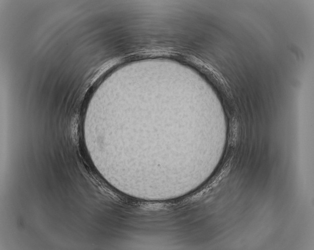 X0000111911162200909071151