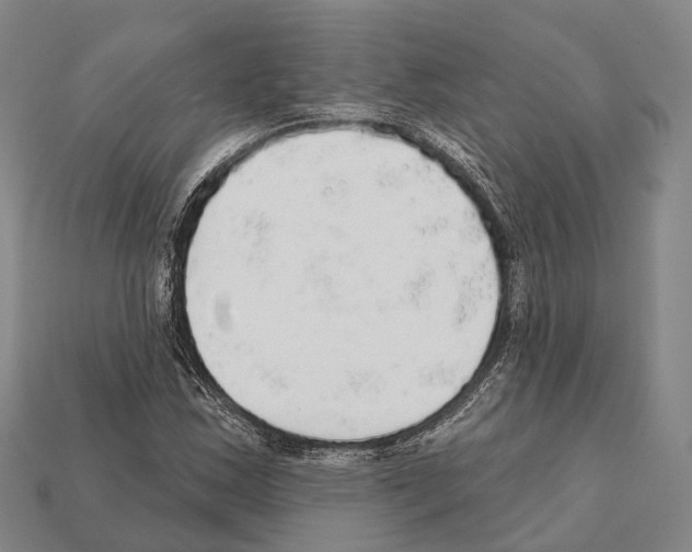X0000111911163200909071151
