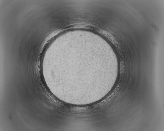 X0000111911164200909071151