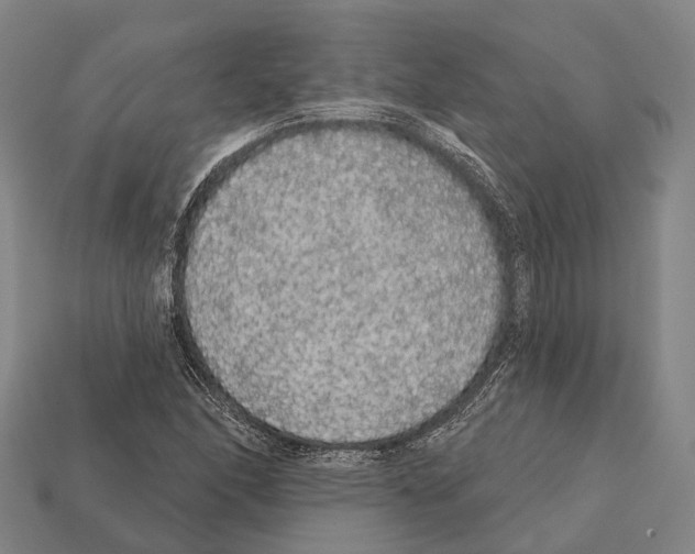 X0000111911166200909071151