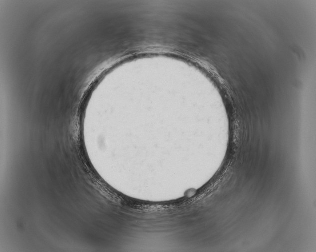 X0000111911167200909071151