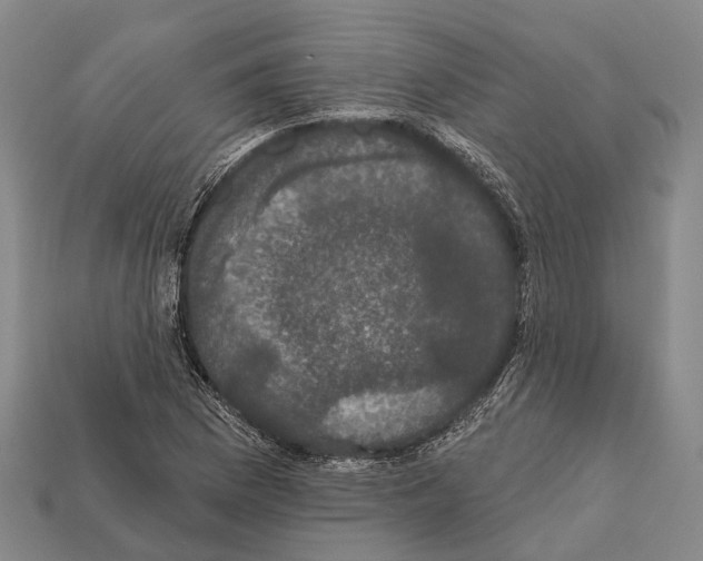 X0000111911169200909071150