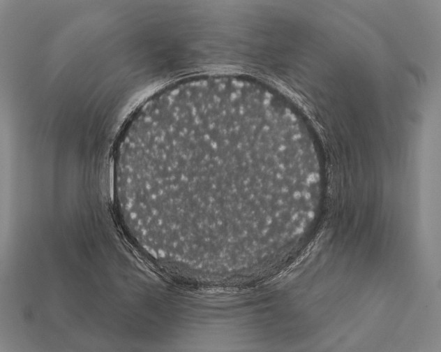 X0000111911171200909071150