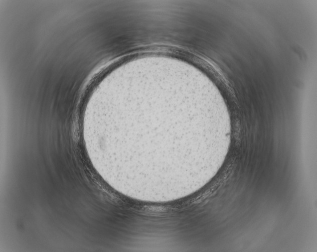 X0000111911172200909071150