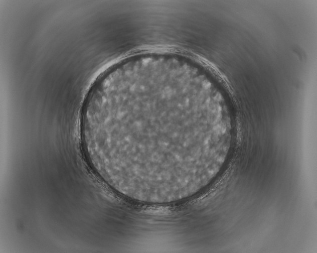 X0000111911174200909071150