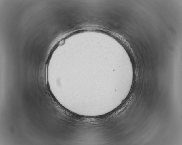 X0000111911175200909071150