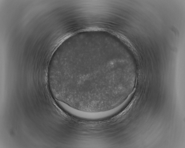 X0000111911177200909071150