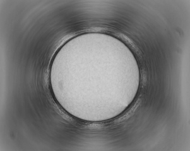X0000111911178200909071150