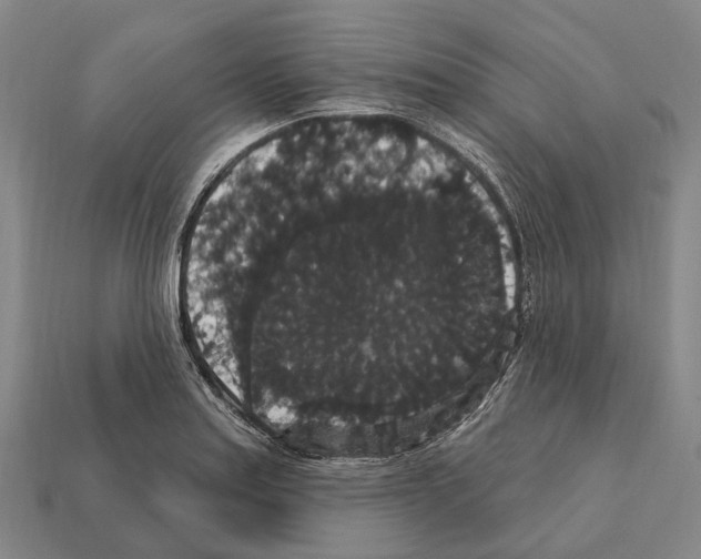 X0000111911179200909071150