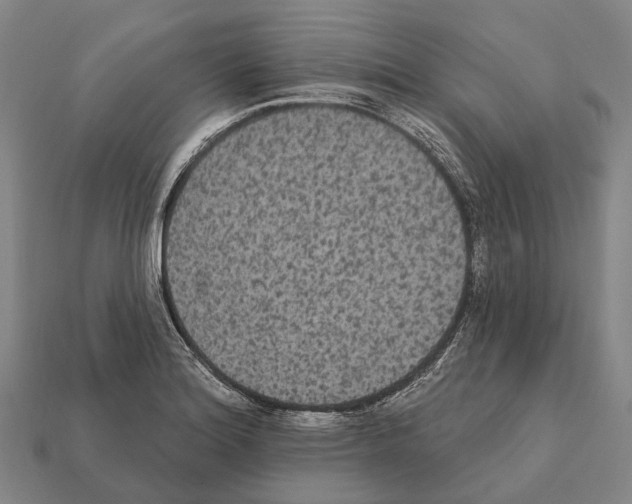 X0000111911180200909071150
