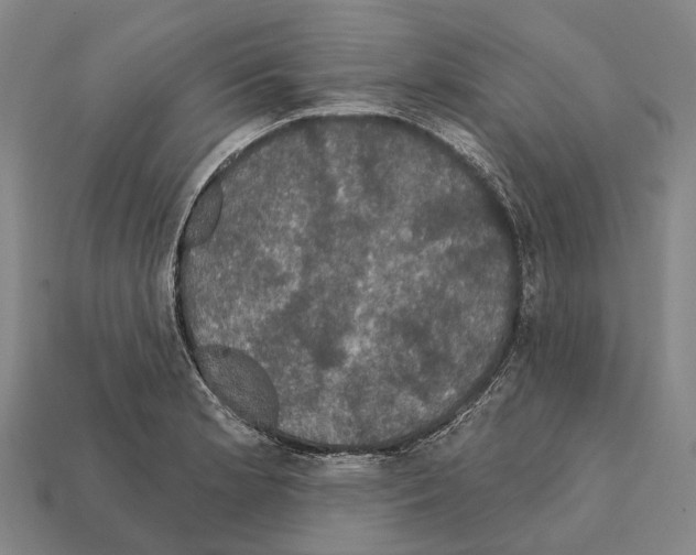 X0000111911181200909071150