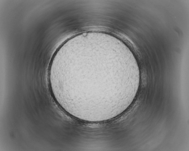 X0000111911182200909071150