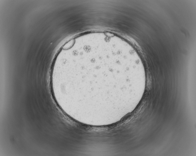 X0000111911183200909071150