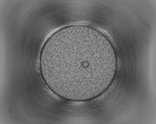 X0000111911184200909071150