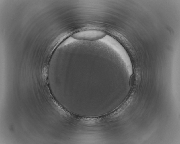 X0000111911185200909071150