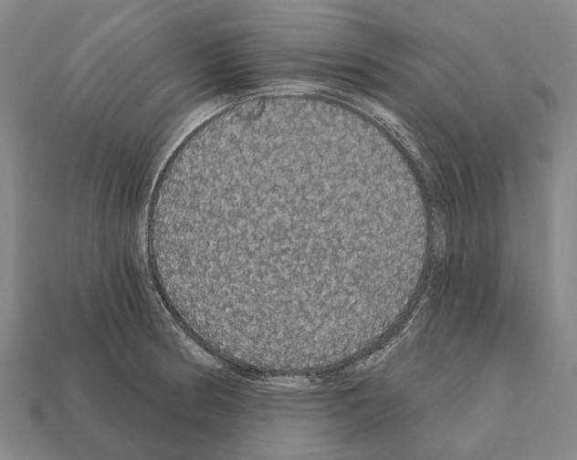 X0000111911186200909071150