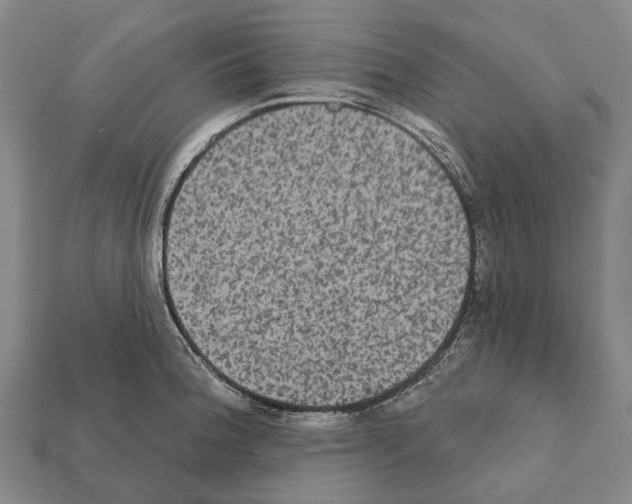 X0000111911188200909071150