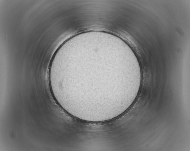 X0000111911190200909071150