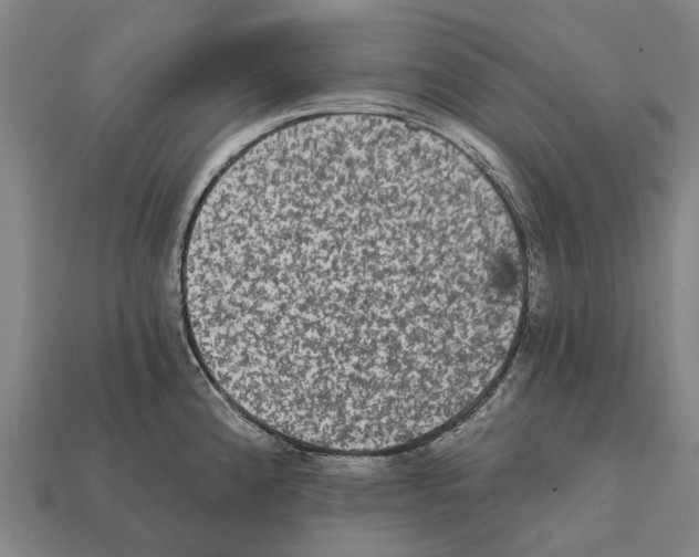 X0000111911192200909071150