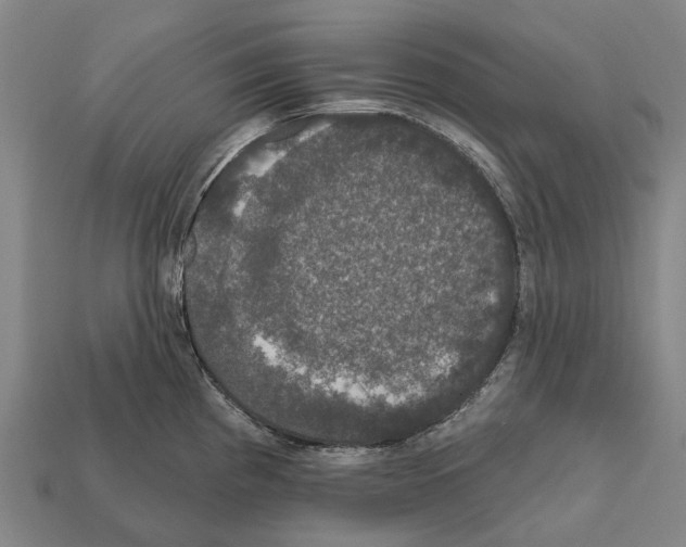 X0000111911193200909071150