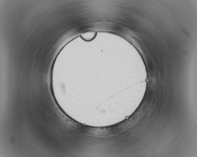 X0000111911195200909071150