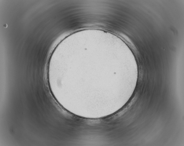 X0000111911196200909071150