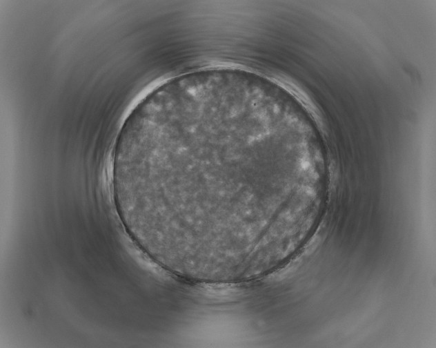 X0000111911198200909071150
