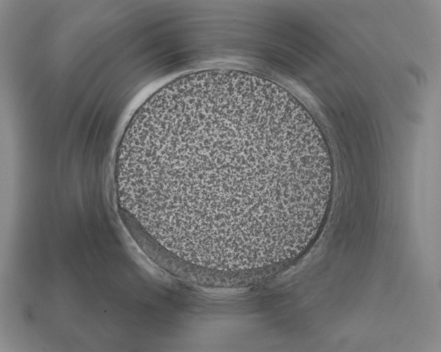 X0000111911200200909071150