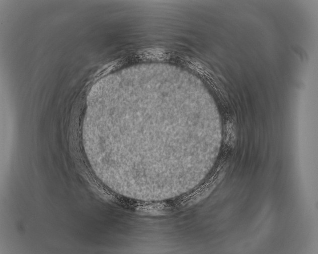 X0000111911201200909071149