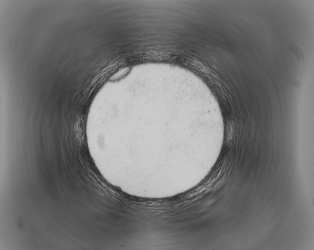X0000111911202200909071149