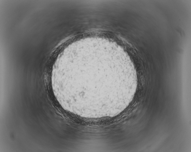 X0000111911206200909071149