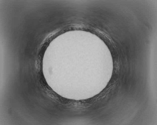 X0000111911207200909071149