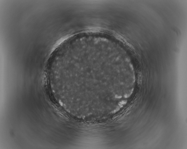 X0000111911208200909071149